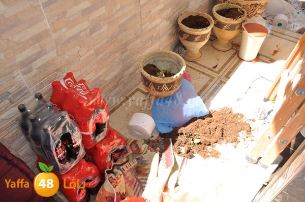 tafteesh jabaliyea (15).JPG